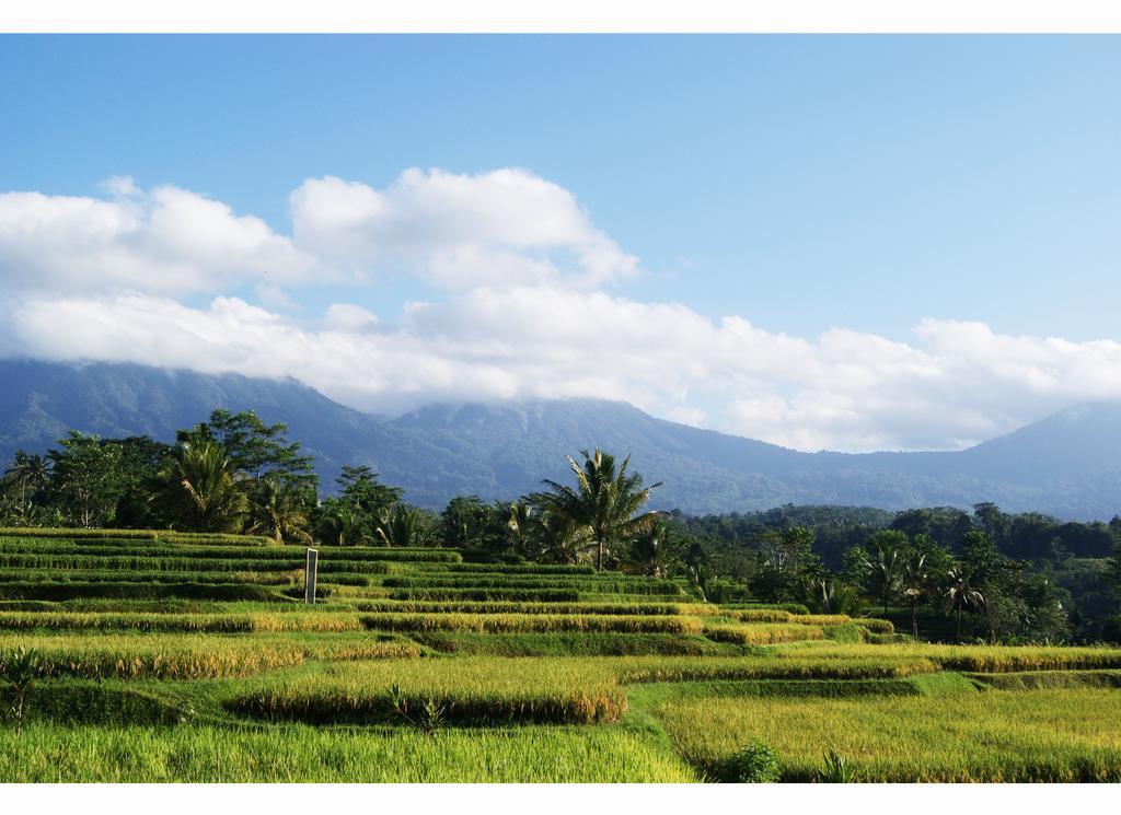 Ti Amo Bali Hotel Джатилувих Стая снимка