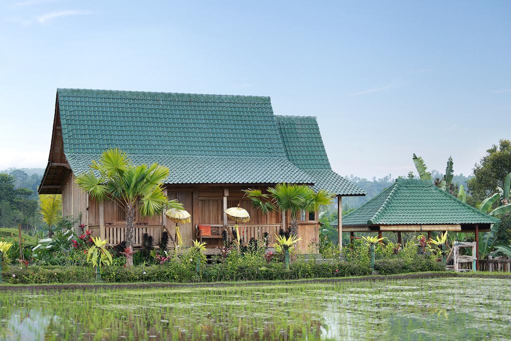 Ti Amo Bali Hotel Джатилувих Екстериор снимка