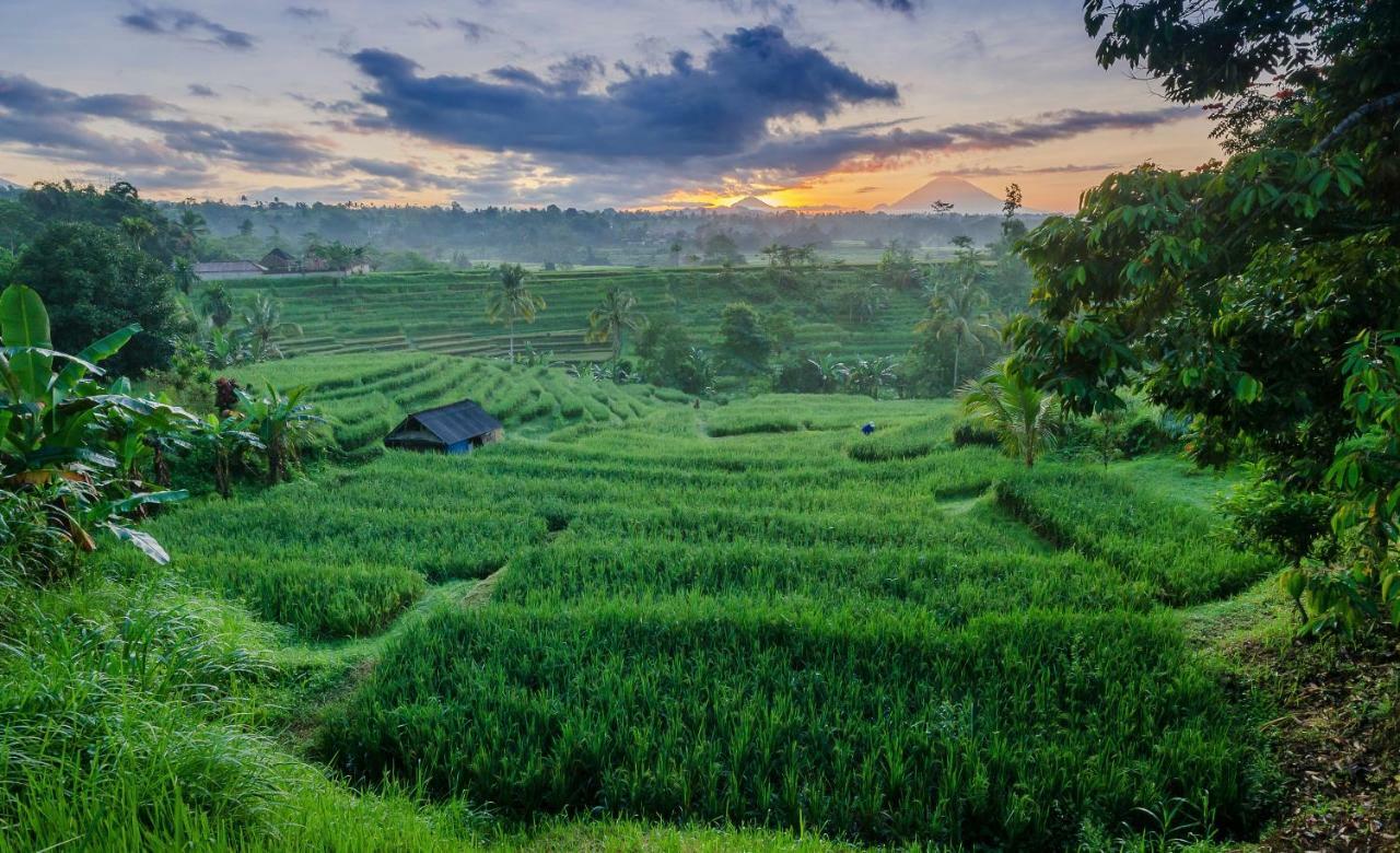Ti Amo Bali Hotel Джатилувих Екстериор снимка